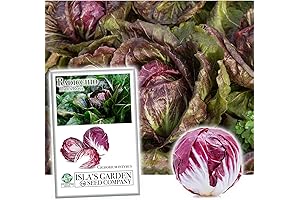 Isla's Garden - Palla Rossa Radicchio Seeds: The Epitome of Garden Elegance...