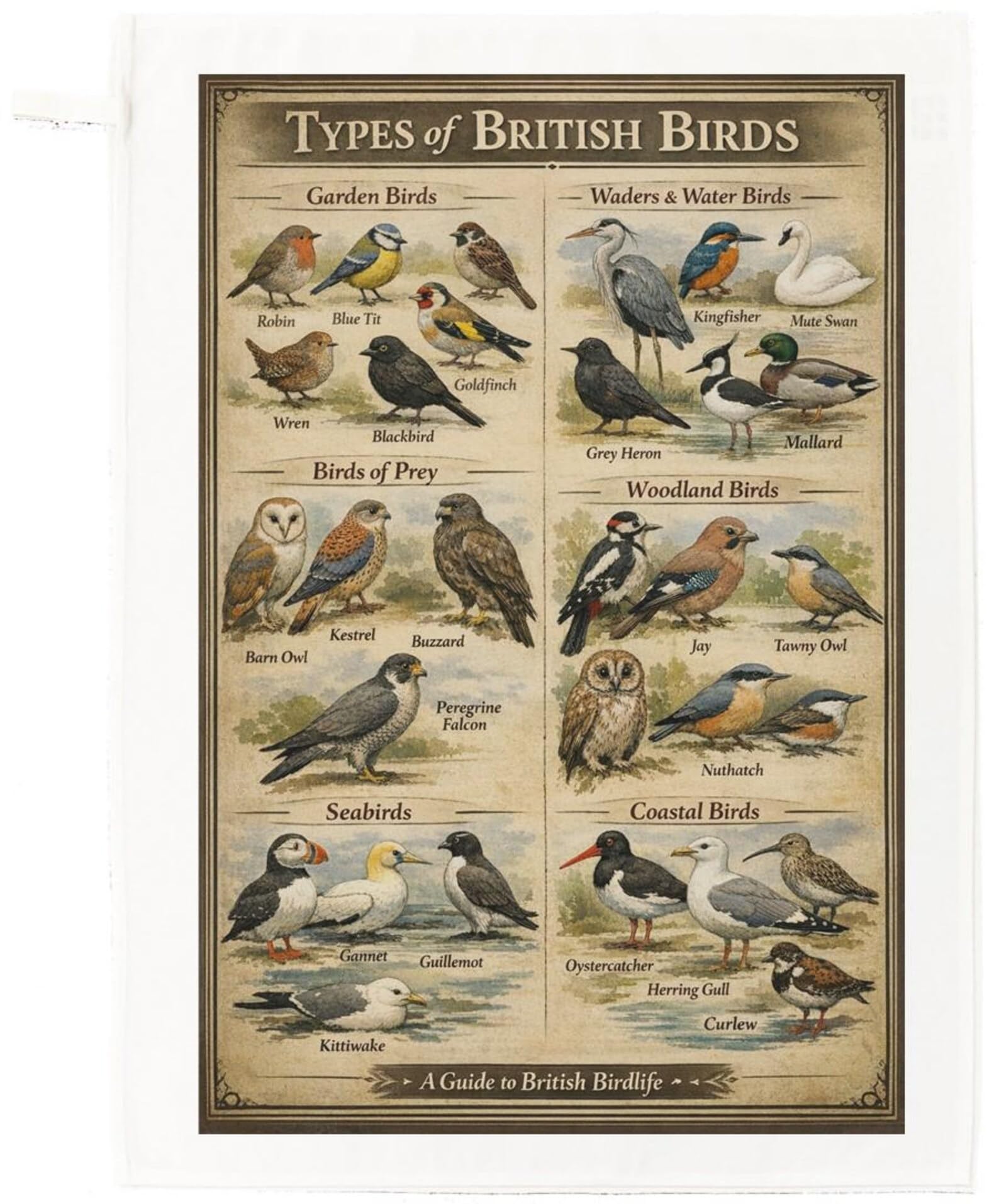 Half A Donkey White British Birds Cotton Tea Towel