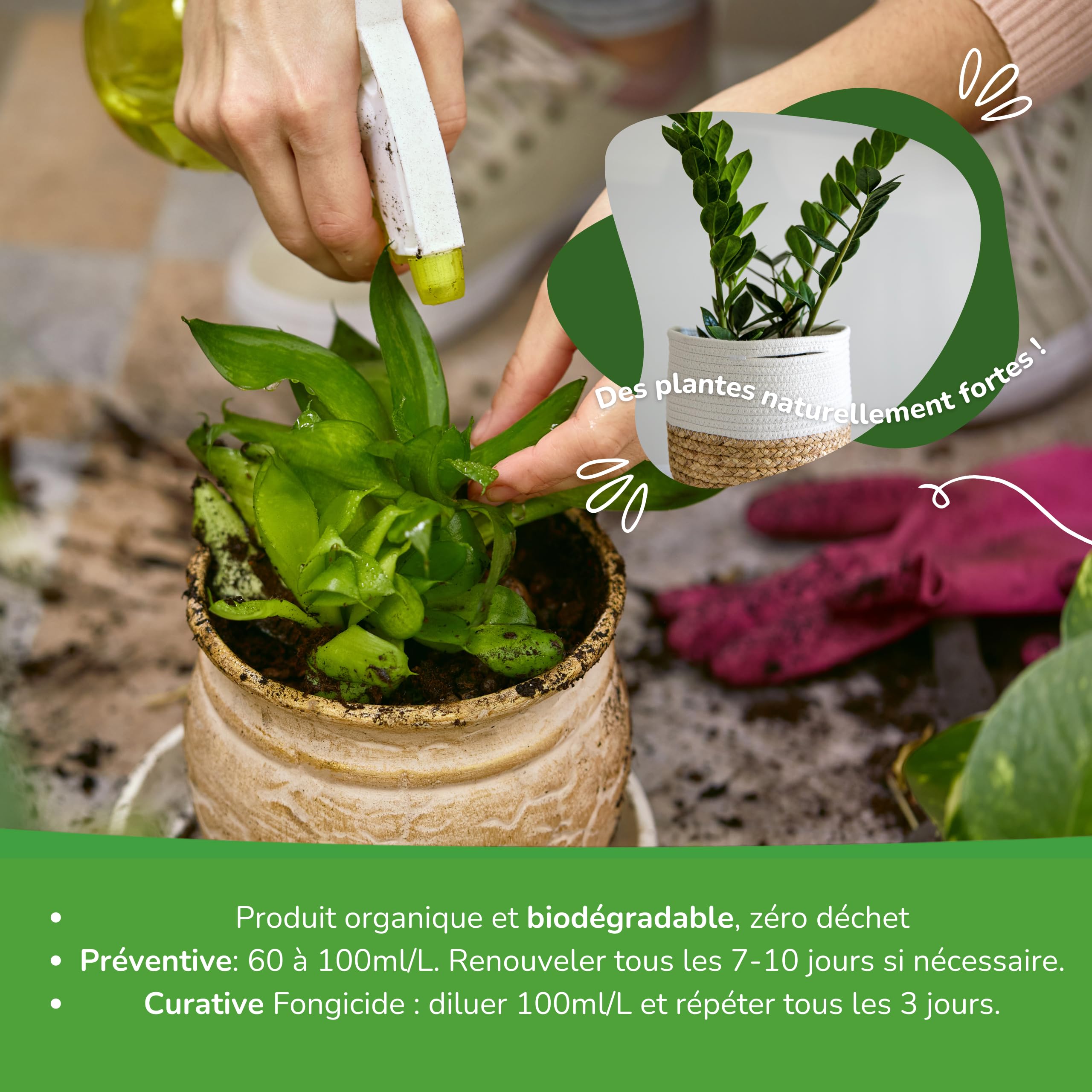 Decoction de Prêle Fongicide 5L – Préventif et curatif pour les plantes - Très concentré 30ml/L – Biostimulant pour plantes d'intérieur et potager urbain – Mildiou et Oïdium