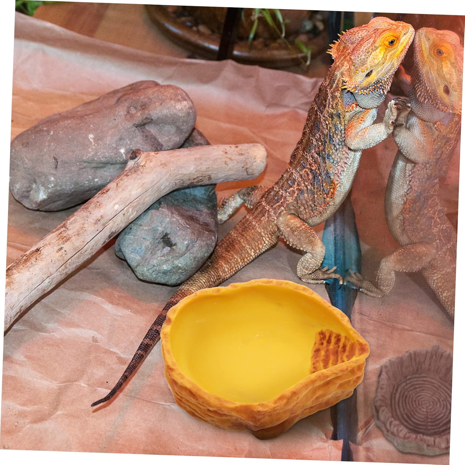 BESPORTBLE Resin Tortoise Water Bowl Crawling PET Feeding Basin Realistic for Reptile Bathing and Drinking Deep Water Dish for Lizards and Snakes Sturdy Terrarium Accessory