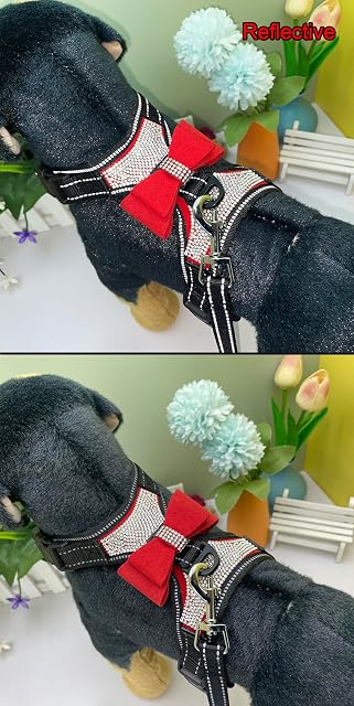 Foto 5 de 7 de Newtensina 2pcs Bow Ties Bling Cute Dog Arnés con correa para perro - Rojo - L