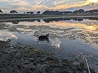 Review Image by Robert James Robert James