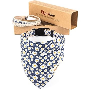 Pettsie Matching Dog Collar & Bandana & Owner Friendship Bracelet, Gift Box Included, Durable Hemp, 2 Adjustable Sizes, Comfortable and Soft, Strong D-Ring for Easy Leash Attachment (M, Blue)
