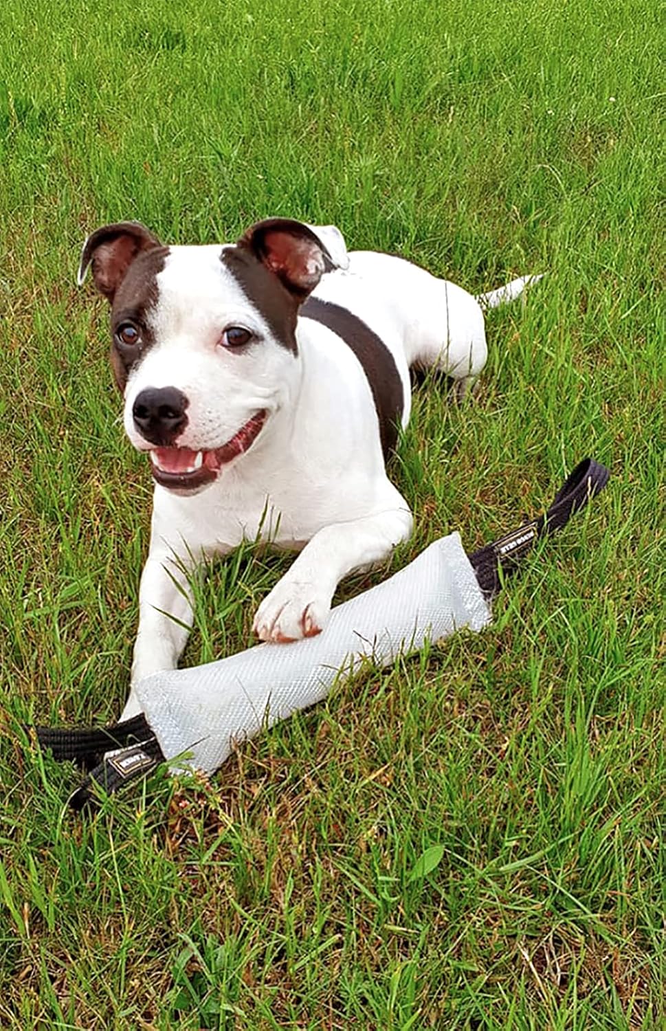 Dingo Gear Firehose Dog Bite Tug One Handle Floatable Waterproof White 30 x 6 cm