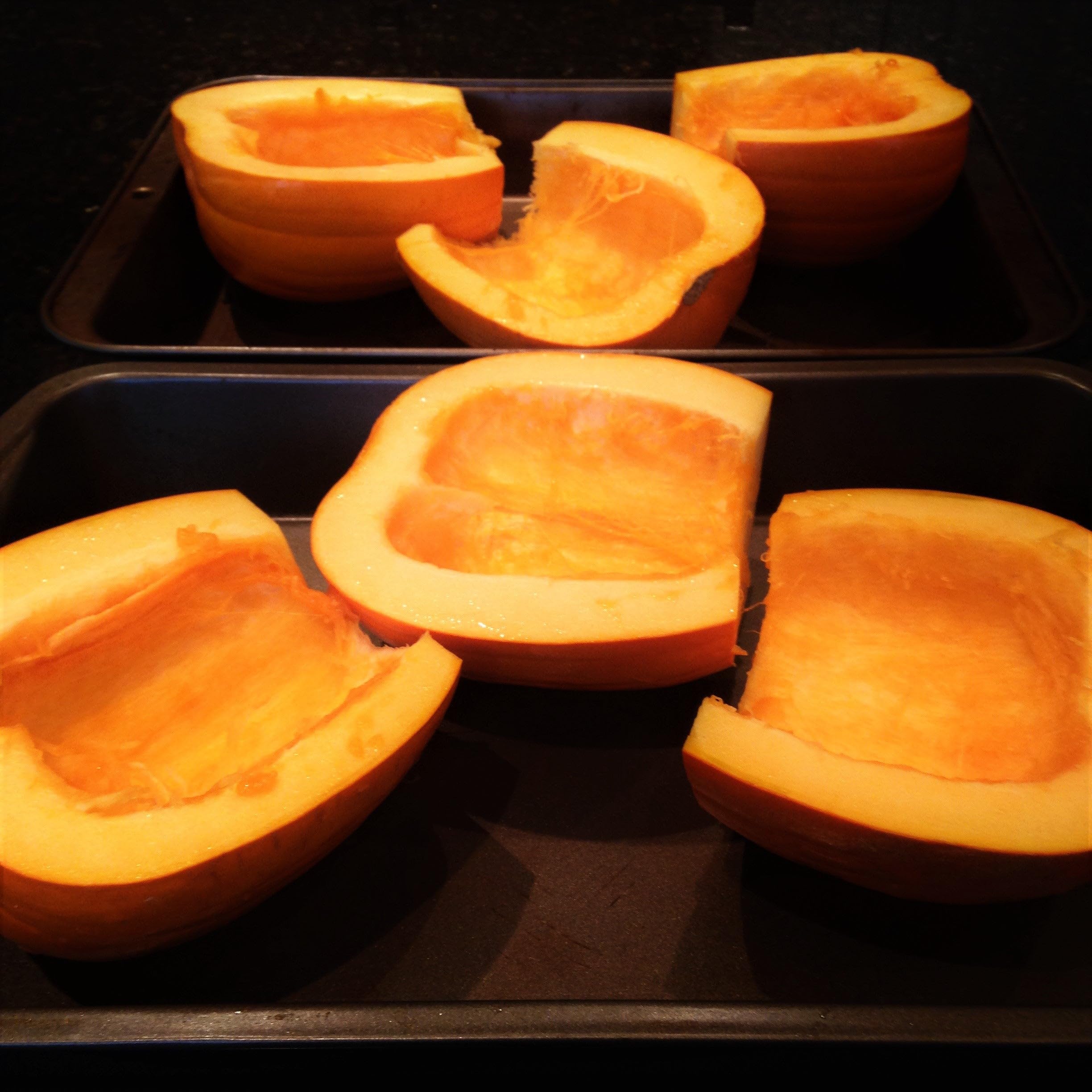 Pumpkinsさん専用 Amazon.com : TomorrowSeeds - Dickinson Pumpkin (Kentucky Field