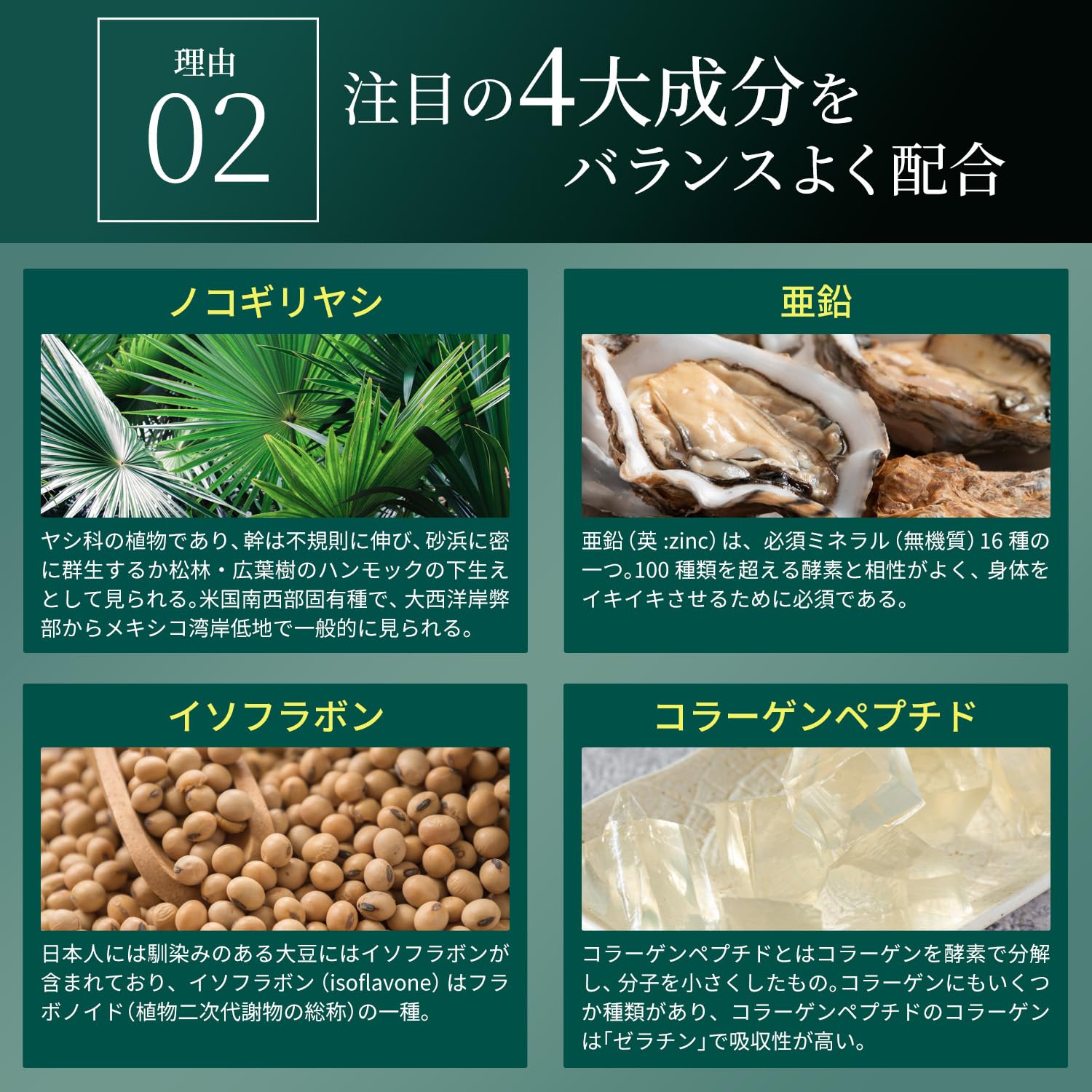 【salamander】エスロッソ ボストンサプリ Amazon | 男性用 ヘアケア サプリ Growth Project ボストン