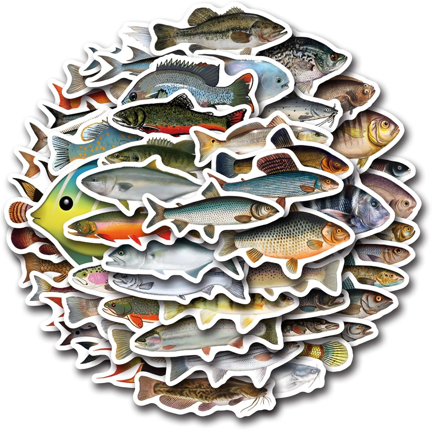 50PCS Funny Fish Stickers for Teens Boy Girls Kids Deep-Sea Fish Stickers Vinyl Waterproof Sticker Go Fishing Decals Pack for Party Supplies (DeepFish)
