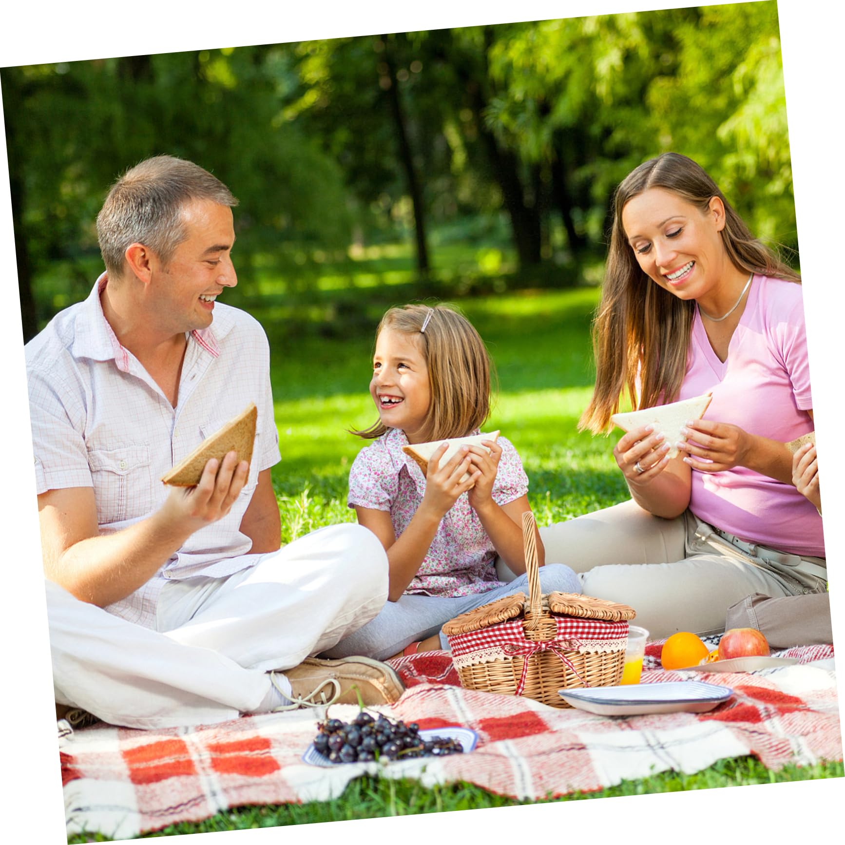 Garneck Picknickkorb Aus Rattan Kleiner Weidenkorb Rotkäppchen-picknickkorb Weidenkorb Mit Griff Osterkorb Deckel Aufbewahrungskörbe Aus Korbgeflecht Isolierter