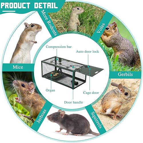 Miniatura 6 de Qualirey Trampa para ratas vivas, 2 unidades, trampa humana para ratones, ratones, jaula para animales pequeños, para interiores y exteriores,
