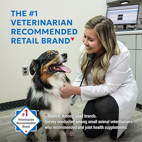 Vista 3 de Nutramax Cosequin Elements - Suplemento de salud articular para perros, contiene glucosamina para perros, MSM, apoya articulaciones saludables