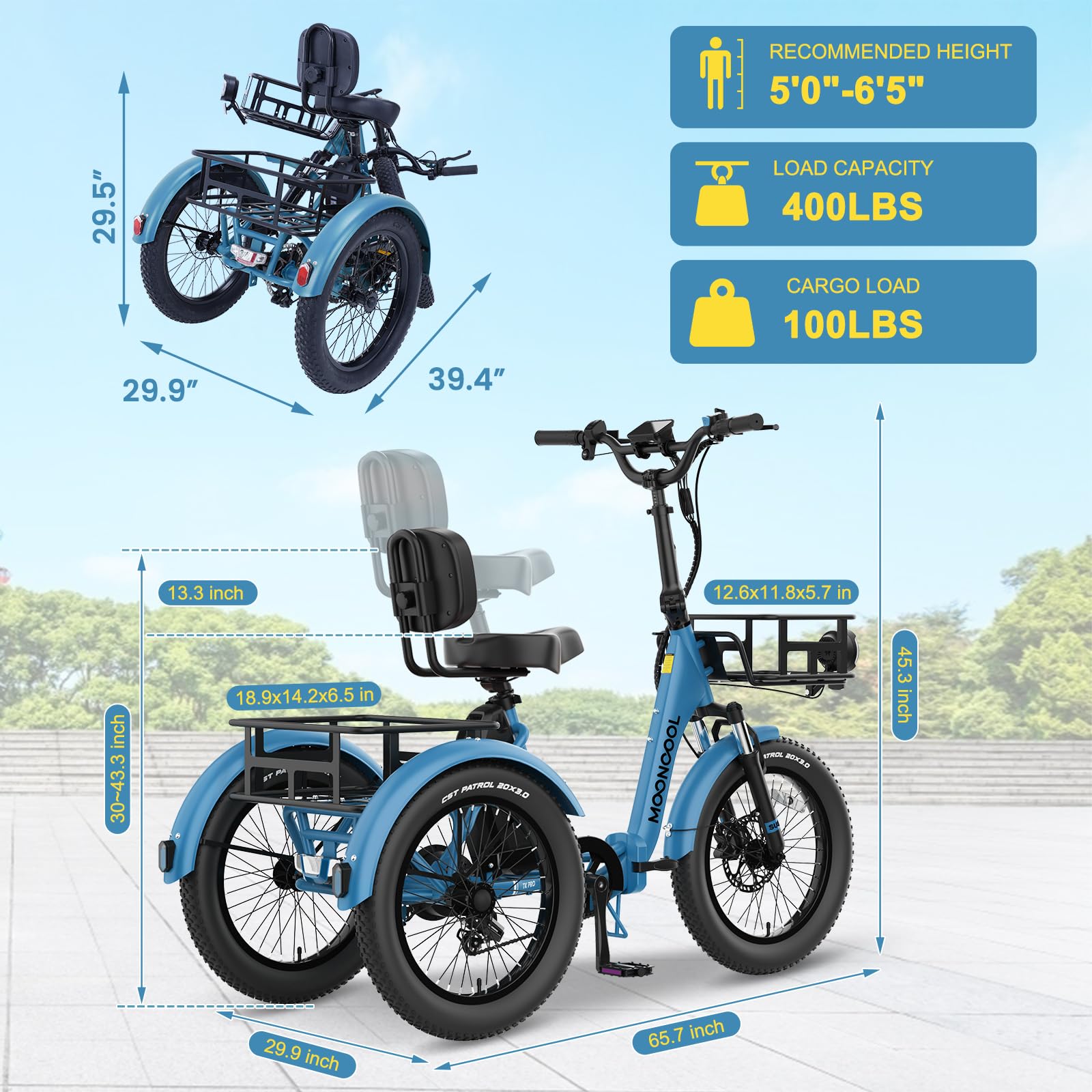 NAIZEA Electric Bike for Adults - 750W(Peak 1100W), 48V 20AH Removable Battery,25MPH Ebike, 20