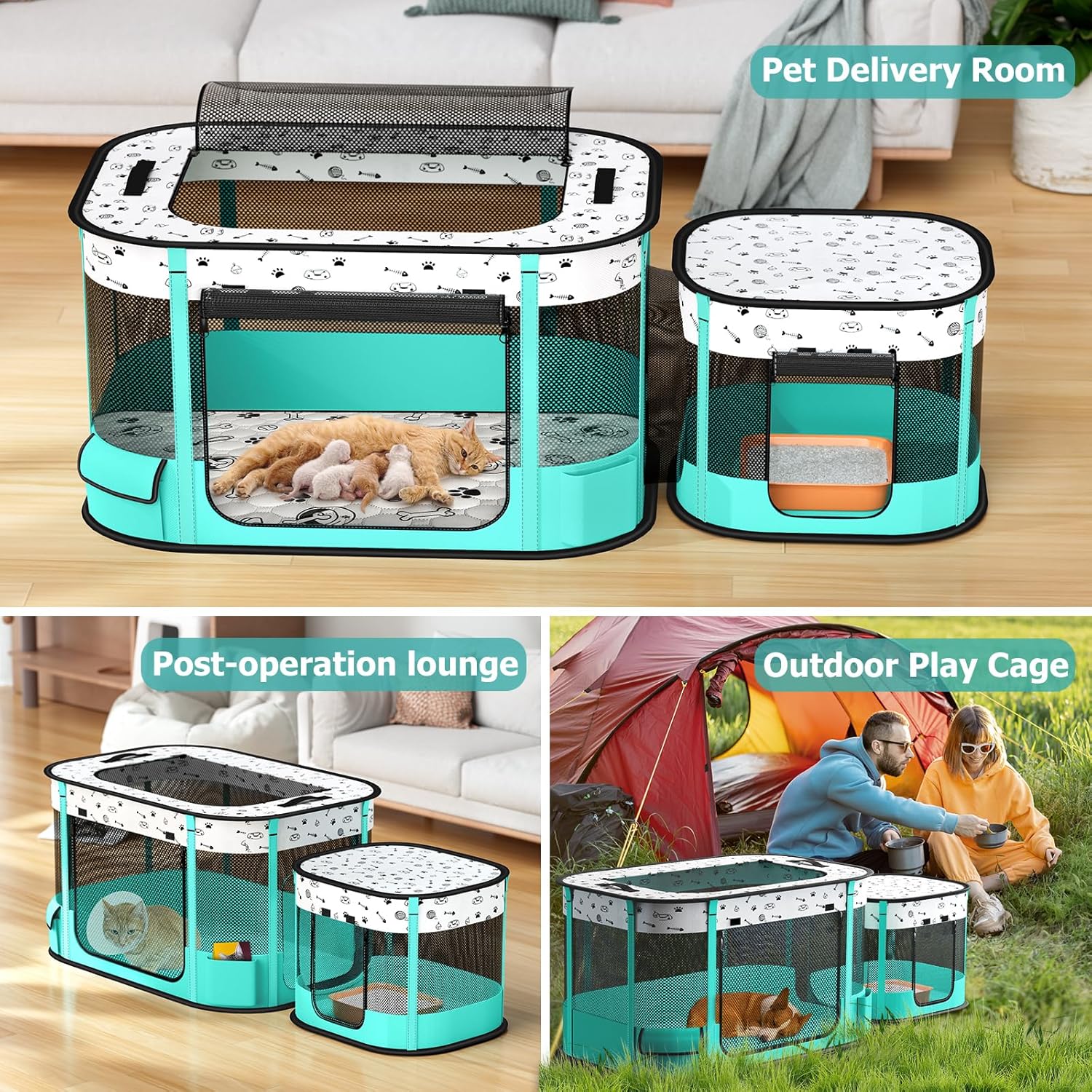https://m.media-amazon.com/images/I/81bMaLS0jRL._AC_SL1500_.jpg