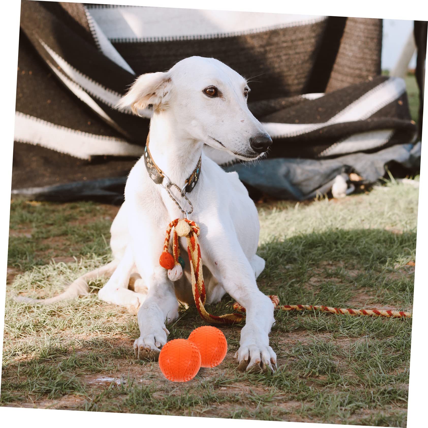 HANABASS 4stücke Quietschende Hundespielzeugbälle aus Gummi Klein zum Werfen und Apportieren für Welpen und Kleine Hunde zur Energieabfuhr und Langeweilebekämpfung