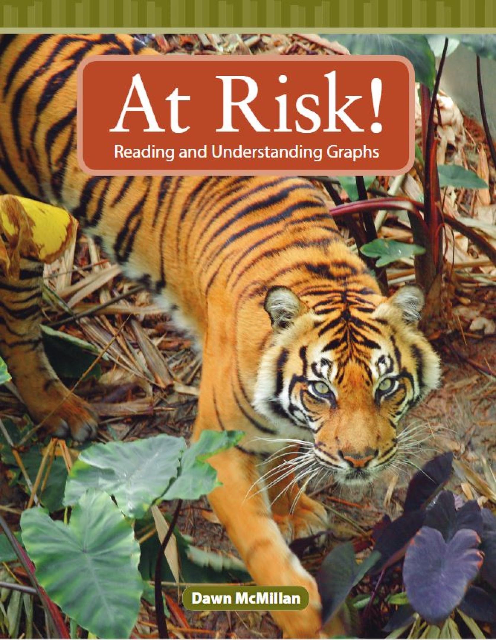 At Risk!: Level 3 (Mathematics Readers)