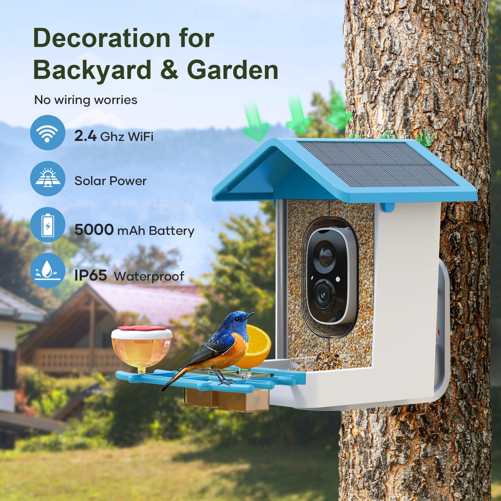 Mangiatoia Per Uccelli Intelligente Con Telecamera Solare E AI – Identifica 10.000 Specie, Visione Notturna, 1080P, Batteria 5000mAh