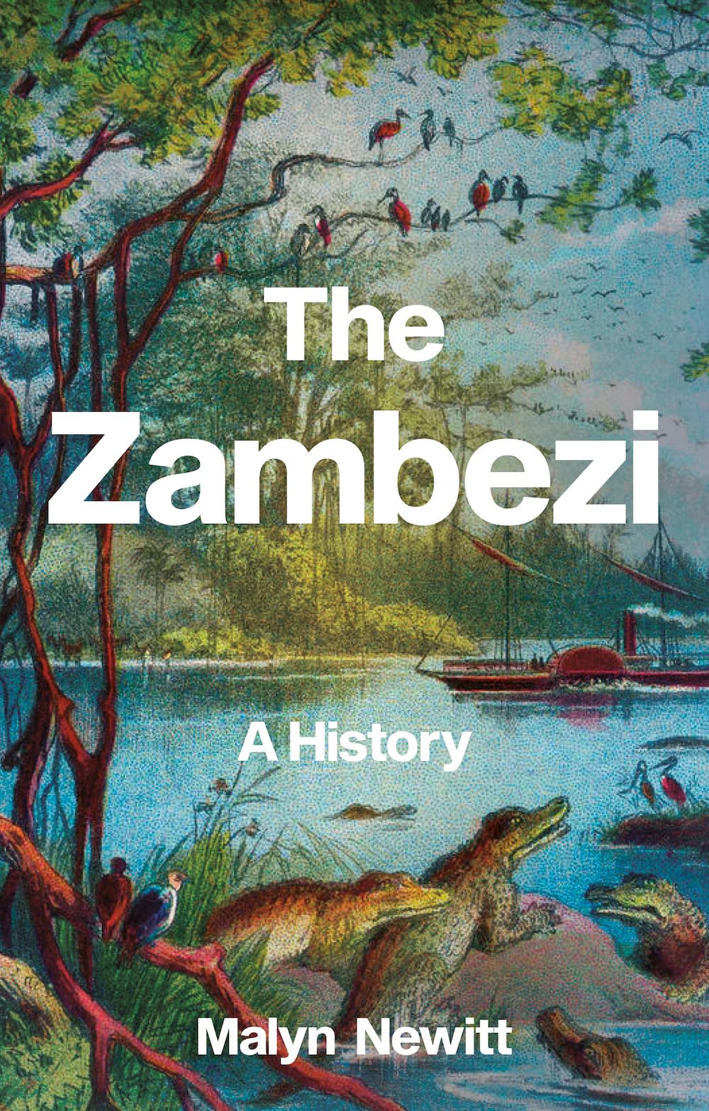 Zambezi A History by Malyn Newitt (Paperback Book)