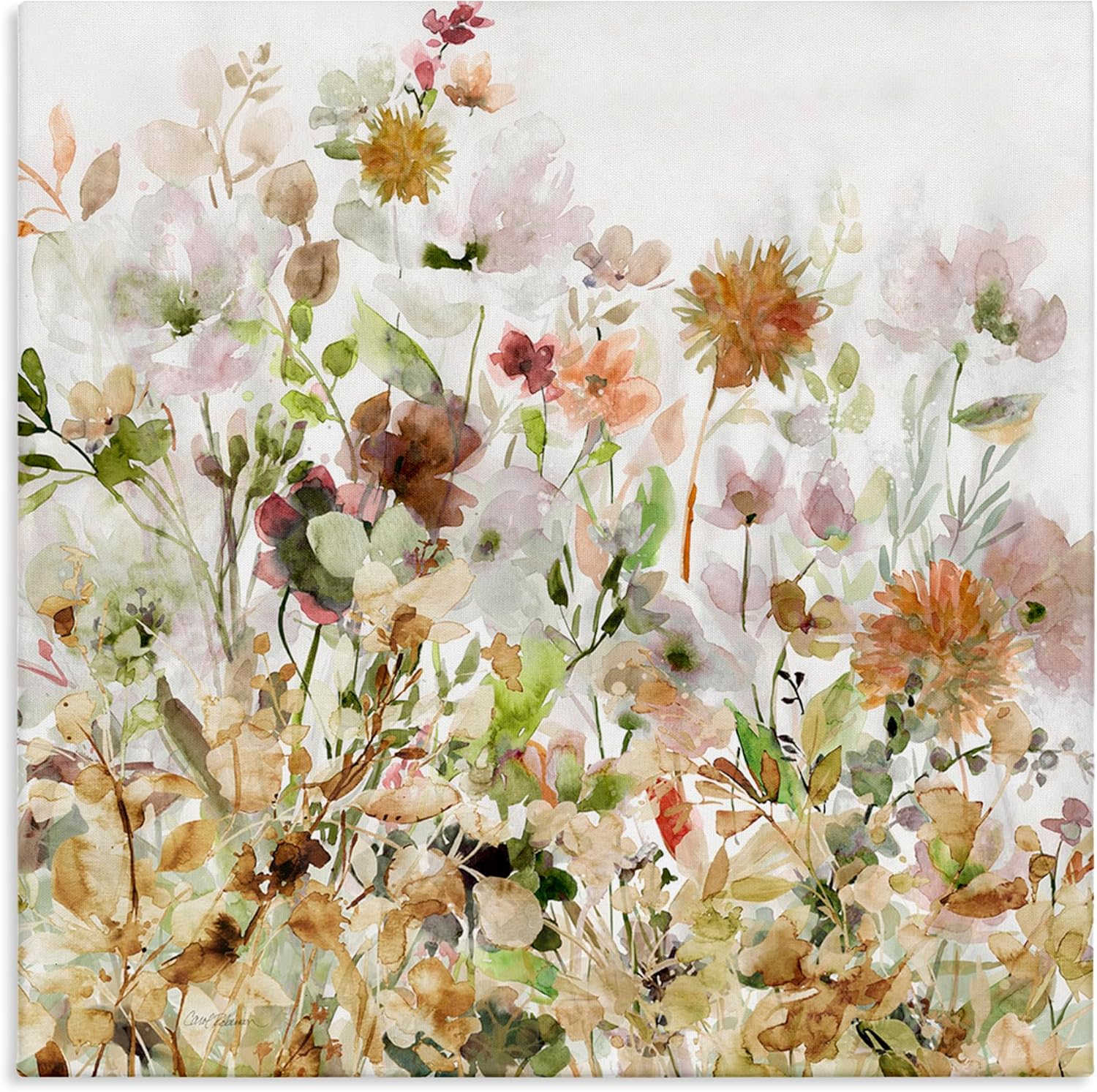Stupell Industries Mixed Garden Florals Canvas Wall Art Design by Carol Robinson