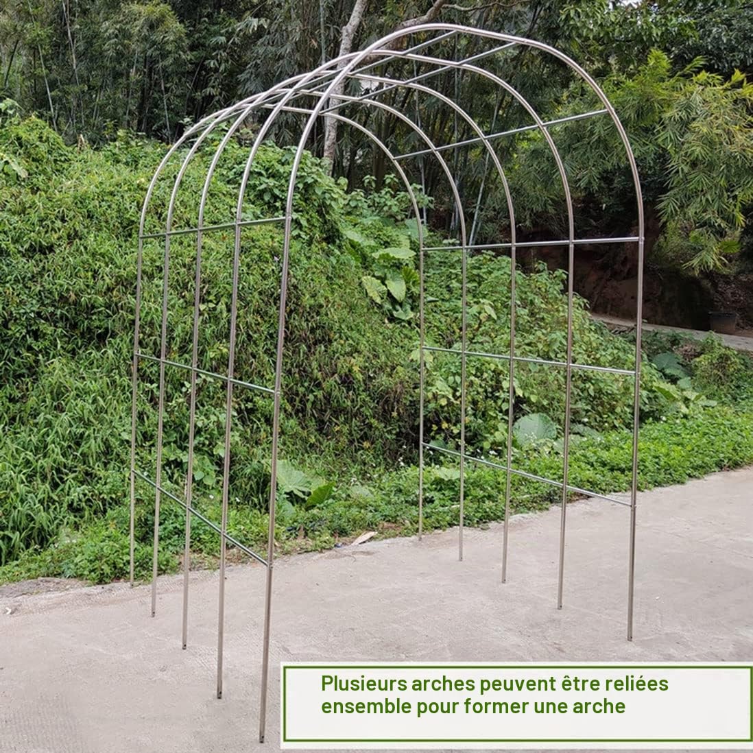 Jardin Métal Arche Acier Inoxydable Arche À Rosiers Largeur 120-350 Cm, Facile À Assembler(Size:120 * 230cm(47 * 90in))