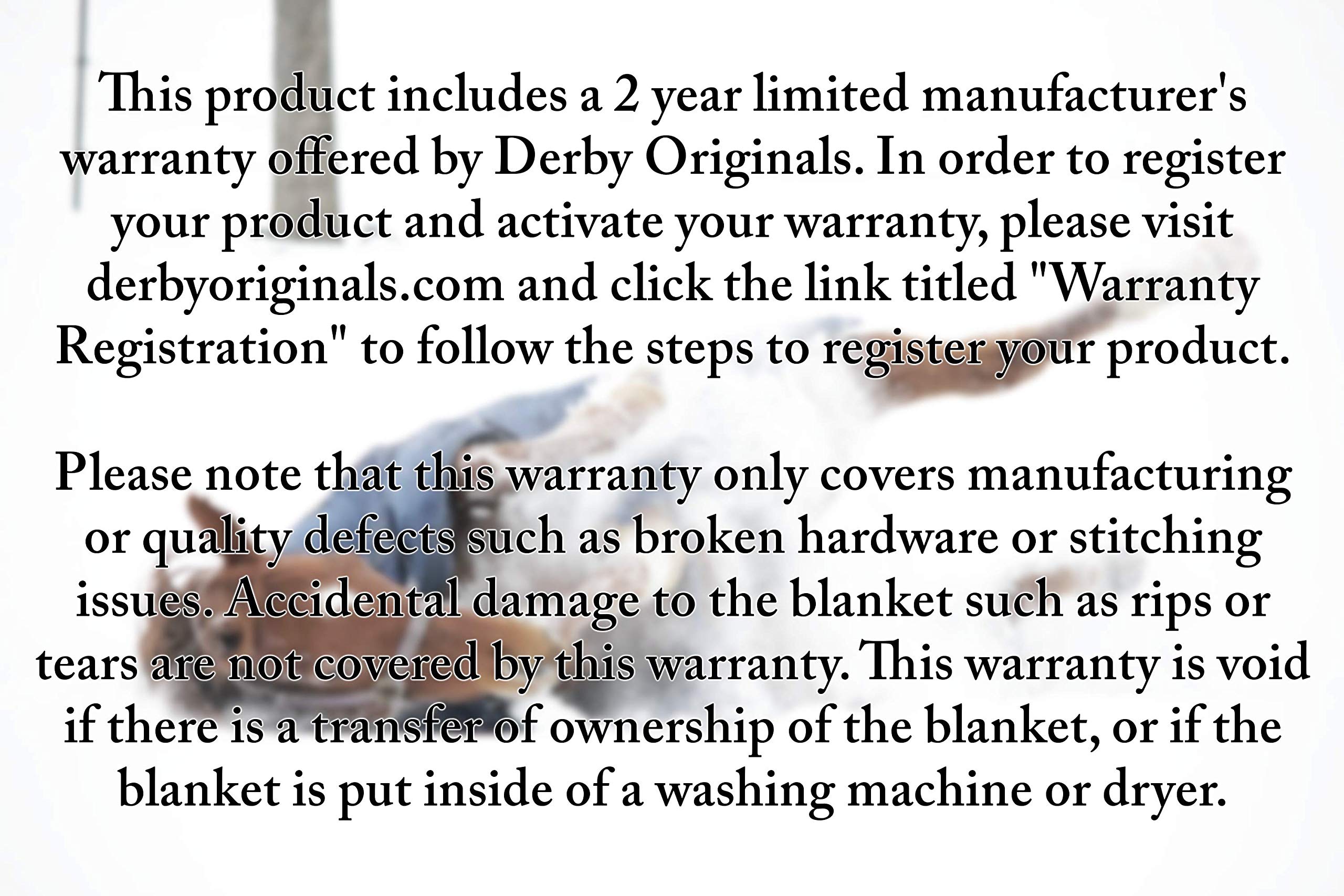 Derby Originals Reflective Safety No Hardware Winter Turnout Blanket for Foals & Mini Horses – 1200D Waterproof Ripstop, 150g Insulation, Triple Layer Breathable 210T Lining, 2 Year Warranty: Navy Blue Small (30-36")