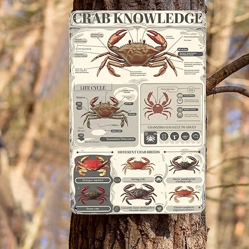 Miniatura 8 de Póster de lata de anatomía de cangrejo de 8 x 12 pulgadas, decoración de aula de biología marina para laboratorio de ciencias, hogar costero y
