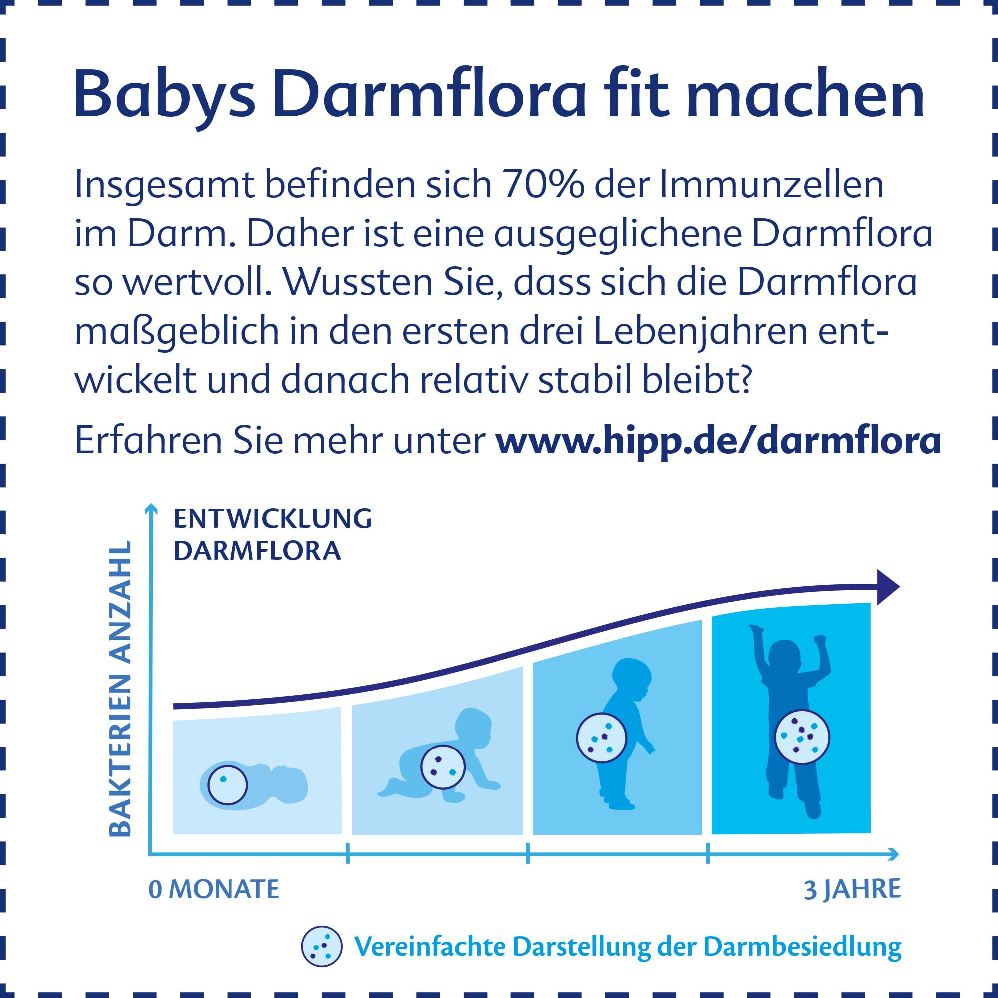 HiPP 3 Bio Combiotik Folgemilch ab 10. Monat (4 x 600g) mit natürlichen Milchsäurekulturen, Vitaminen C und D, GOS, Omega-3