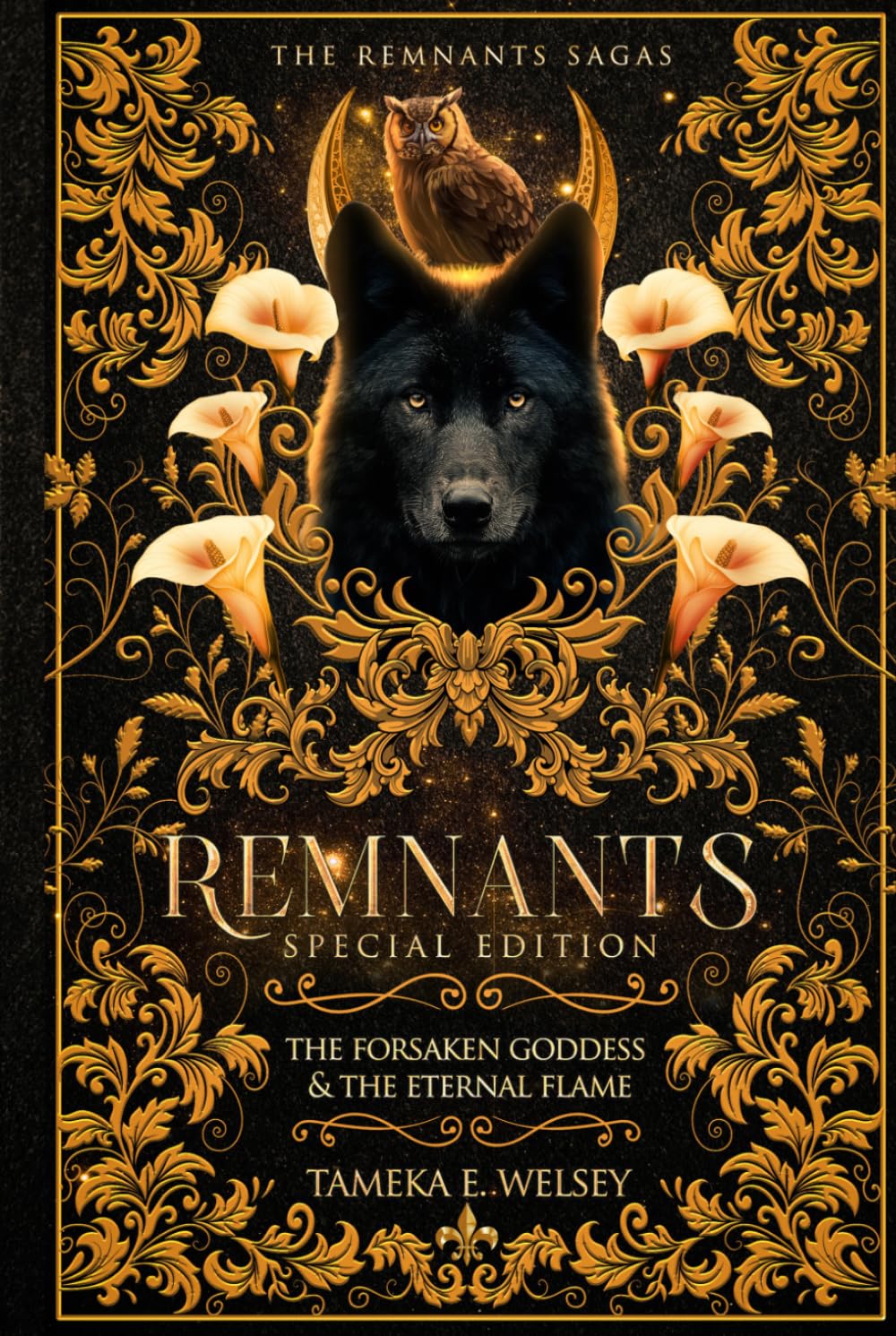 Remnants: The Forsaken Goddess & The Eternal Flame Special Edition (The Remnants Sagas)