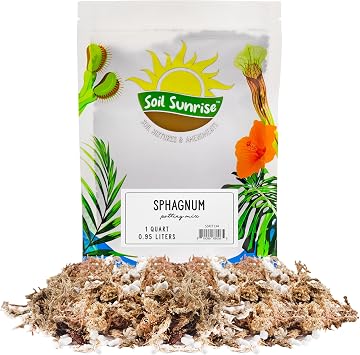 Soil Sunrise Sphagnum Moss Potting Mix 1 Quart for Carnivorous Plants Blend of Dried Moss with Perlite