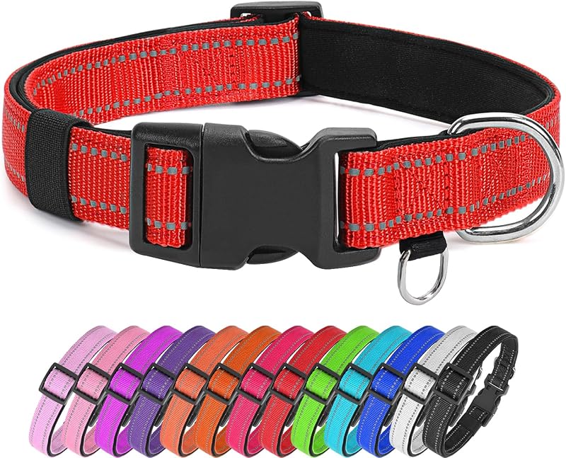 Coleira para Cães Pequenos em Nylon com Detalhes Refletivos e Acolchoamento em Neoprene ARLSIM, Vermelha, XS