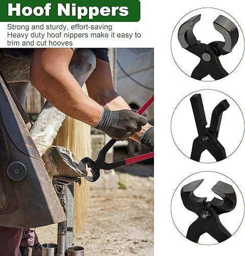 12Pcs Farrier Tools Kit Hoof Trimming Tools with Tool Bag, Hoof Nippers, Horseshoe Cutting Pliers, Goat Hoof Trimmers Shear, Hoof Rasp File, Horseshoe Brush, Hoof Knife, Hoof Hammer, Gloves