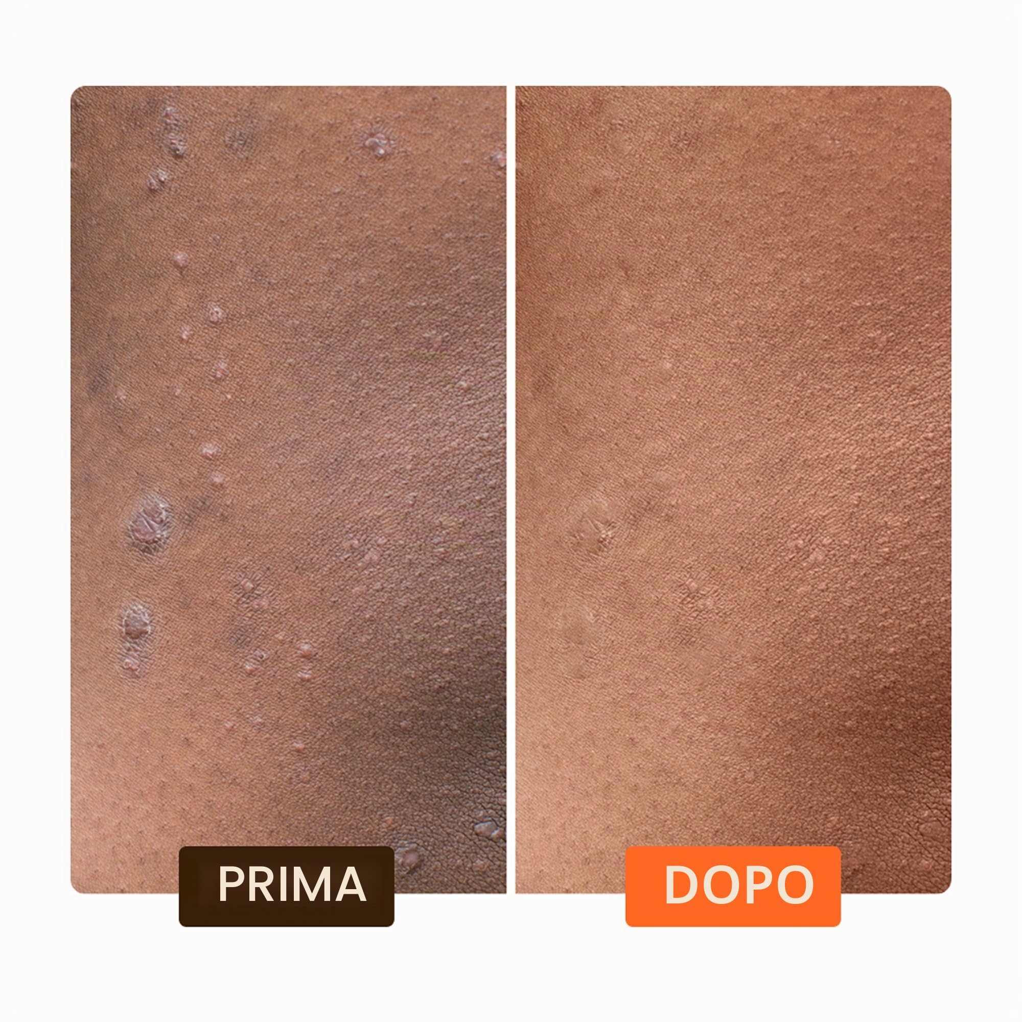 Glicerina Rischiarante per la Pelle Extreme con Olio di Carota e Olio di Argan Makari [500ml] – Illumina e Rassoda Viso e Corpo Grazie a Questa Lozione con Organiclarine™