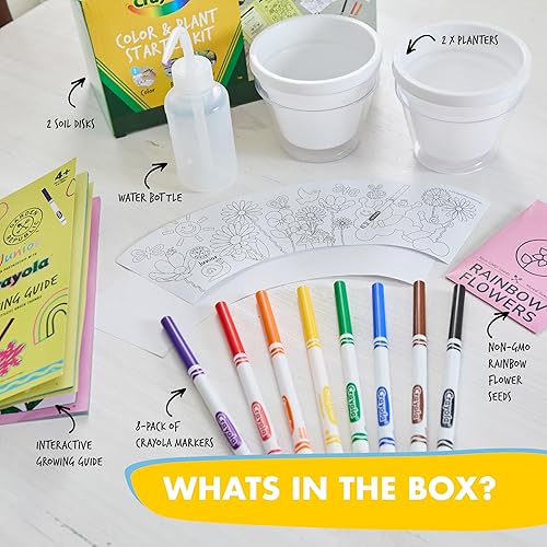 Miniatura 21 de Kit de principiantes de semillas de árbol Bonsai, Mini juego de cultivo de plantas Bonsai, 4 tipos de semillas, macetas, tijeras de podar