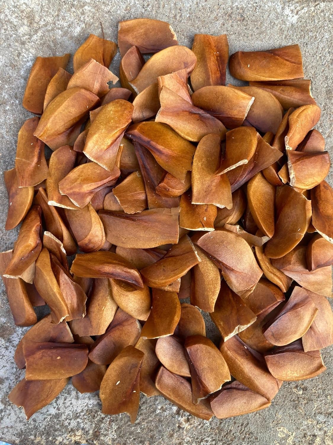 Rear Exotic & Special Healthy African Mahogany Red Seeds (Seeds Pack Of-1000gram)/Honduran Mahogany/Mahogany/Swietenia macrophylla/Senegal Mahogany Red Tree Seeds for growing Swietenia Plant Seeds. (B0D45WTL5R) Amazon Price History, Amazon Price Tracker