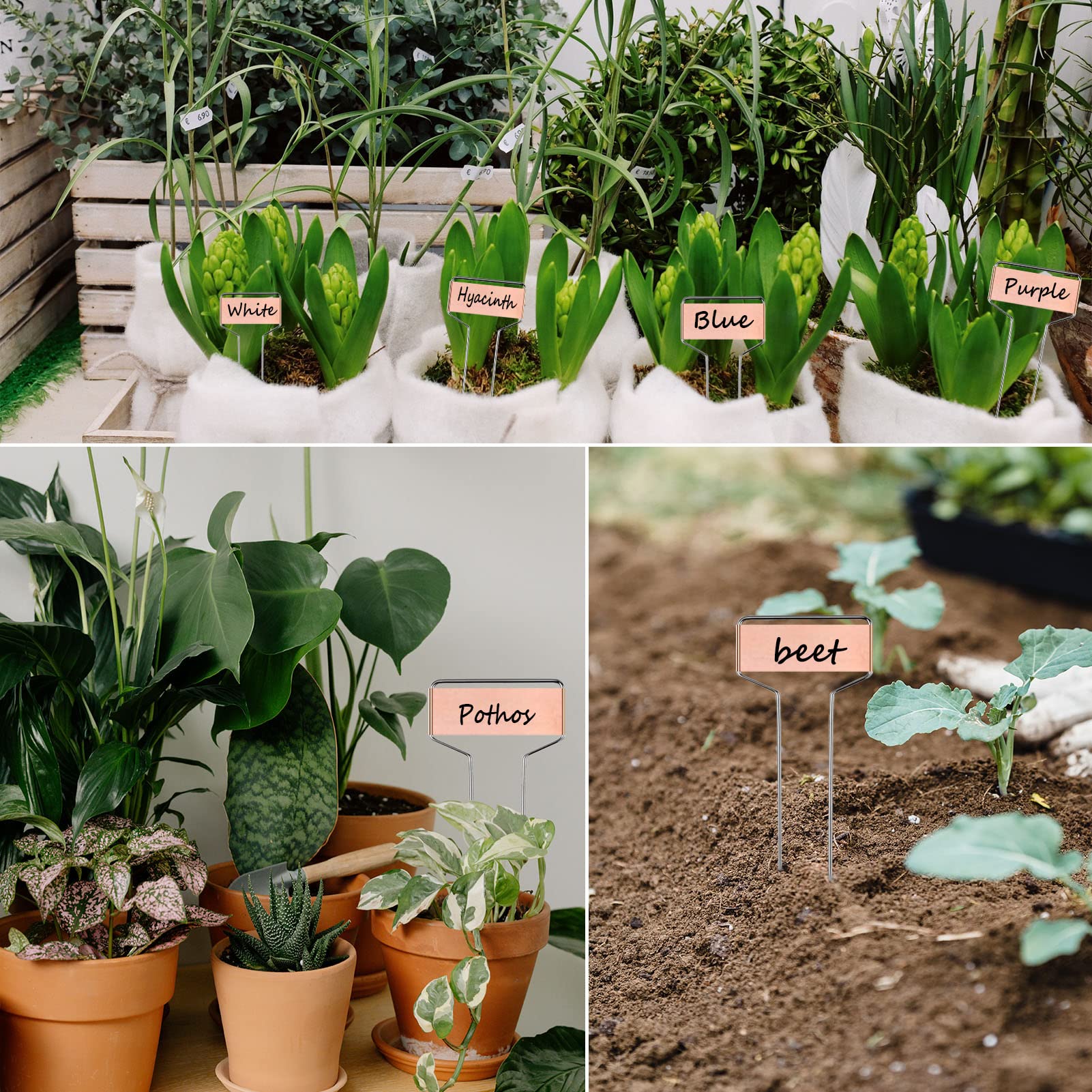 30 etichette per piante da giardino per piante da interno, giardino esterno, impermeabili, 15,2 cm, etichette da giardino, etichette per piantine, fiori, verdure, erbe aromatiche, semi per vivaio