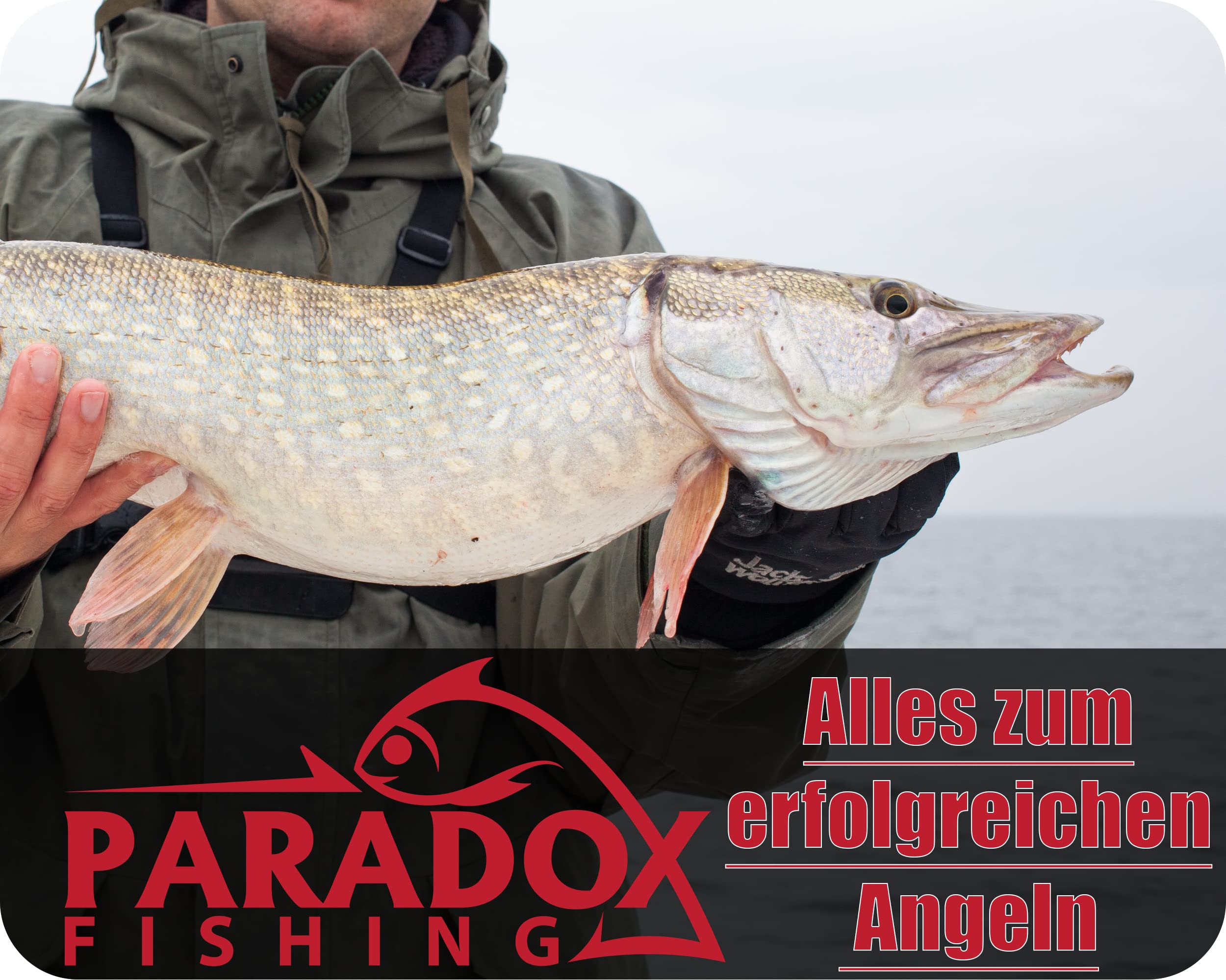Paradox Fishing Juego de 4 señuelos de pesca de lucioperca, 13 g, 11 cm, con caja, cebo para lucioperca, perca