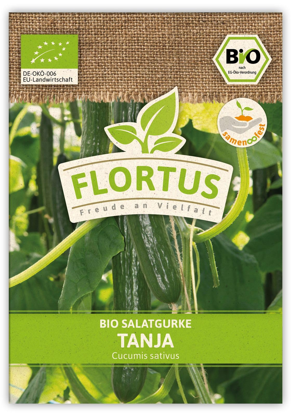 FLORTUS 2000-0506-100x Salatgurke Tanja (100 Stück) (BIO Gurkensamen)