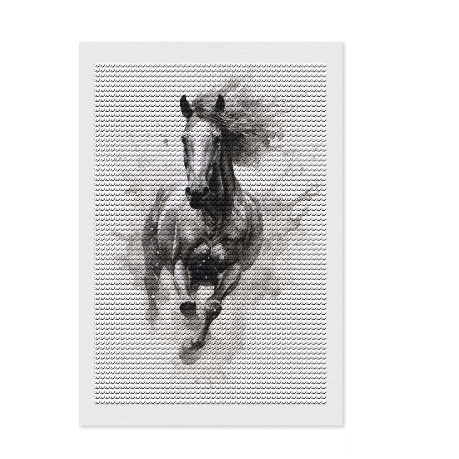 Junmoney Horse Splashes Diamond Painting Set 8"x12", for Craft Lovers, Creative Leisure Activity, Farmhouse Decor, Holiday Gift Idea