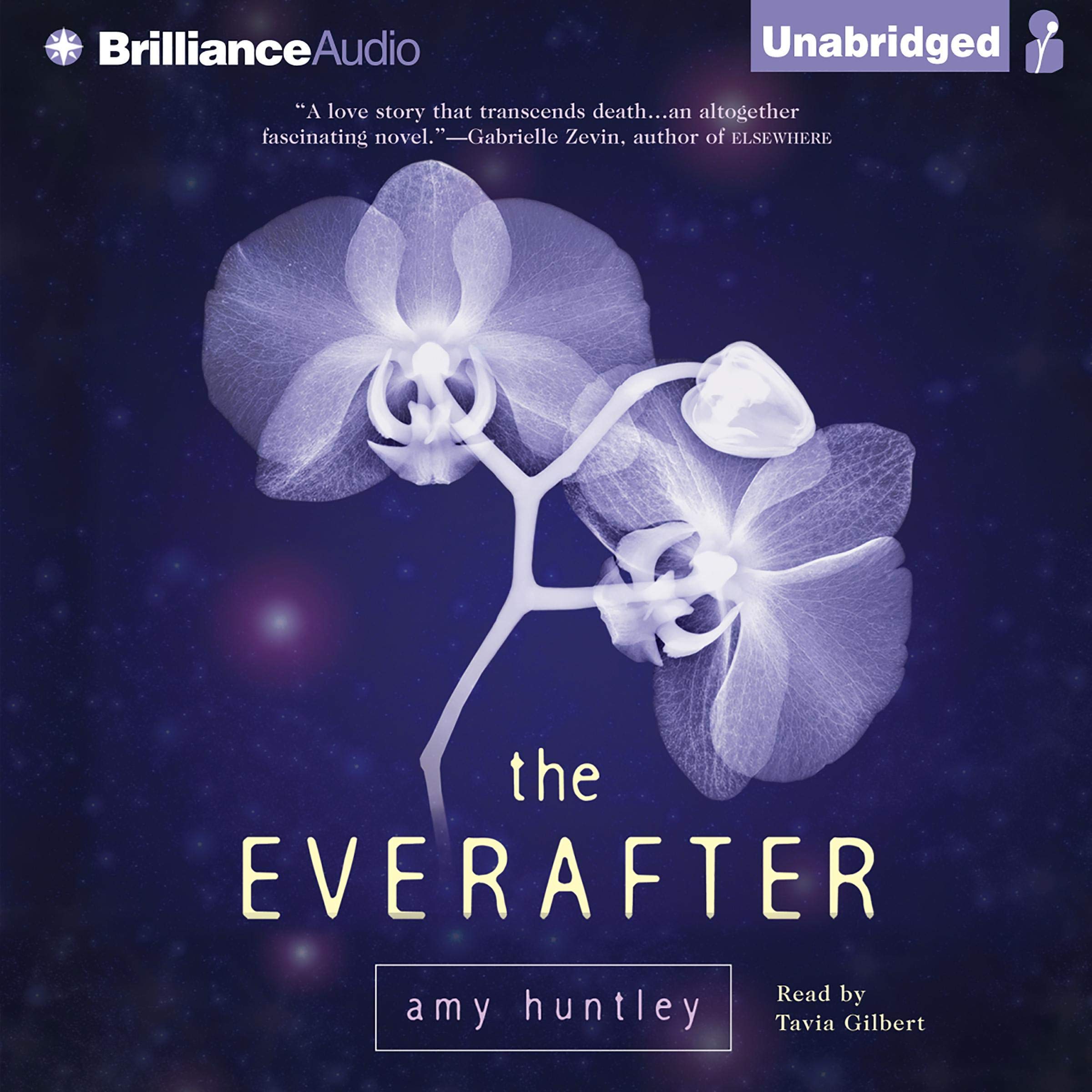 Cover art for The Everafter