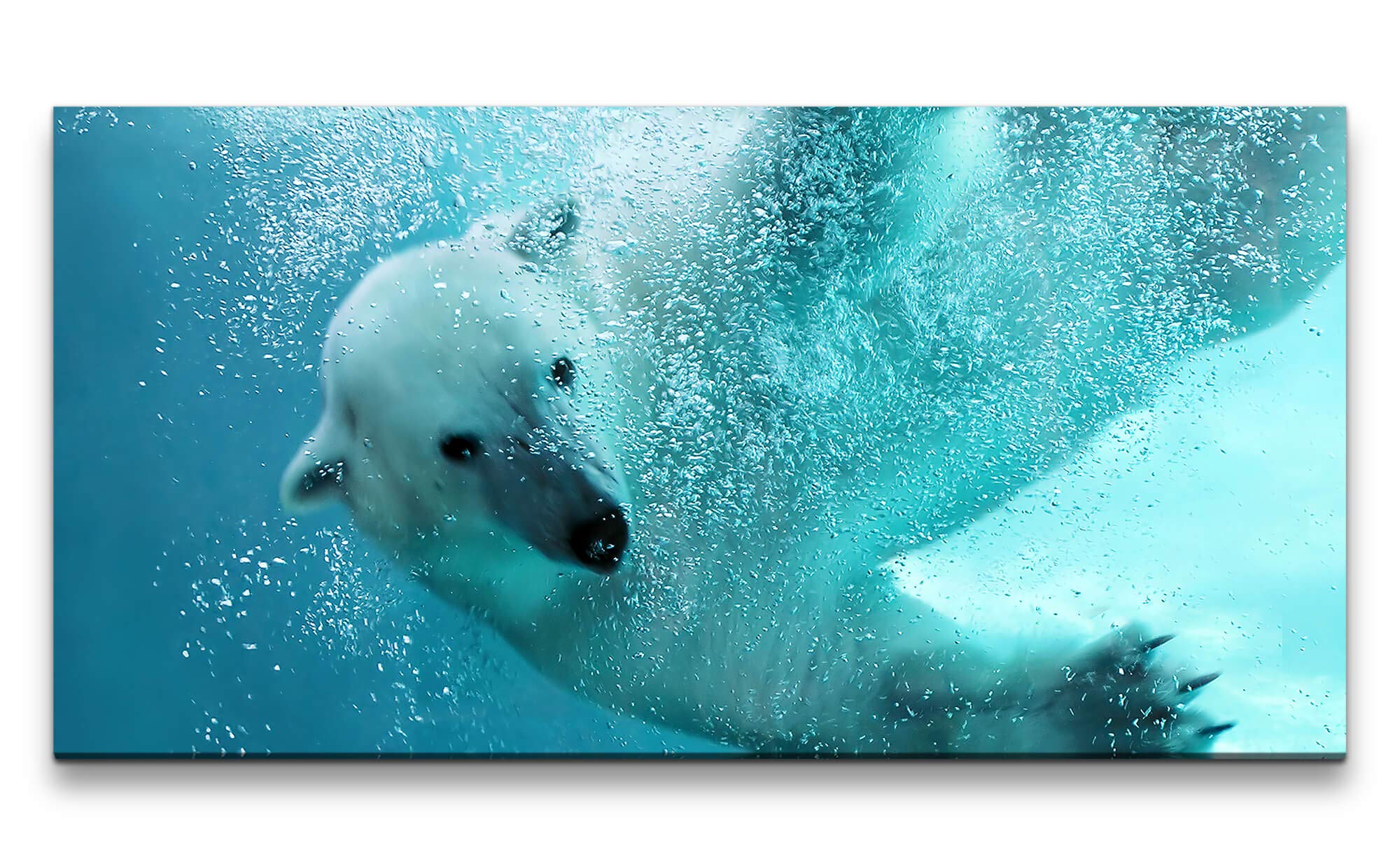 schwimmender Eisbär ca. 130x70cm Wandbild inklusive Schattenfugenrahmen weiss - Panorama Leinwand Bild XXL Format Wandbilder Wohnzimmer Wohnung Deko Kunstdrucke