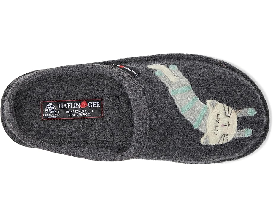 Haflinger Katze - Top View