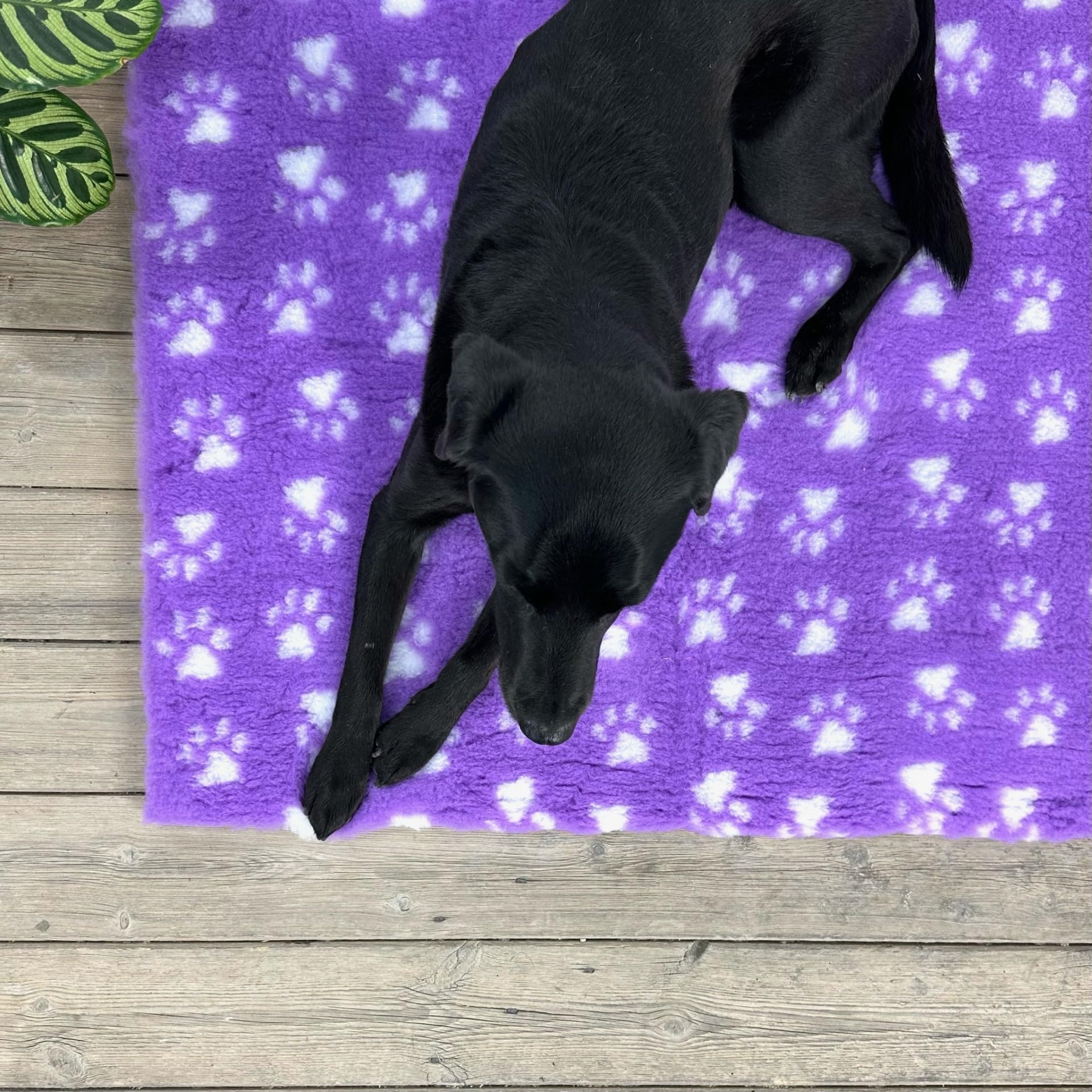 SoulPet NON-SLIP High Grade Vet Bedding Purple White Paws ROLL WHELPING FLEECE DOG PUPPY PRO BED Size: 100cm x 75cm โ image 1
