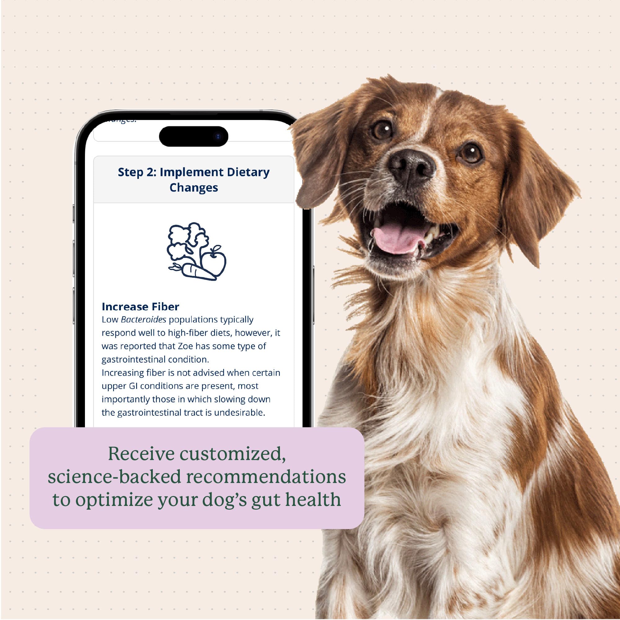 AnimalBiome DoggyBiome - Kit di test per probiotici per cani