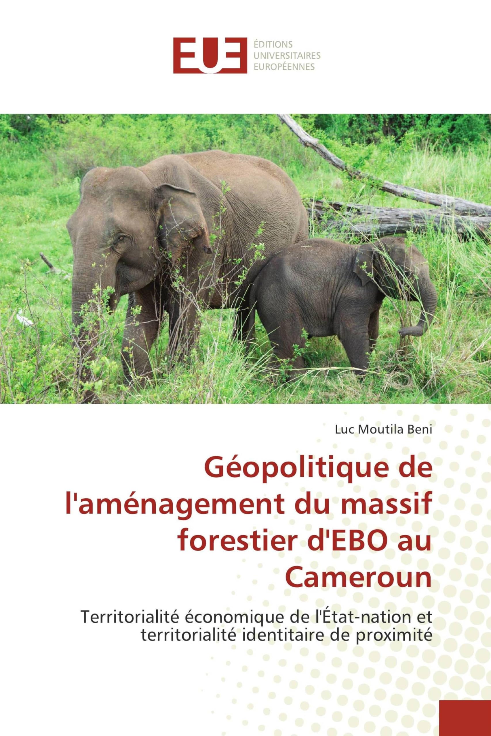 Géopolitique de l'aménagement du massif forestier d'EBO au Cameroun: Territorialité économique de l'État-nation et territorialité identitaire de proximité
