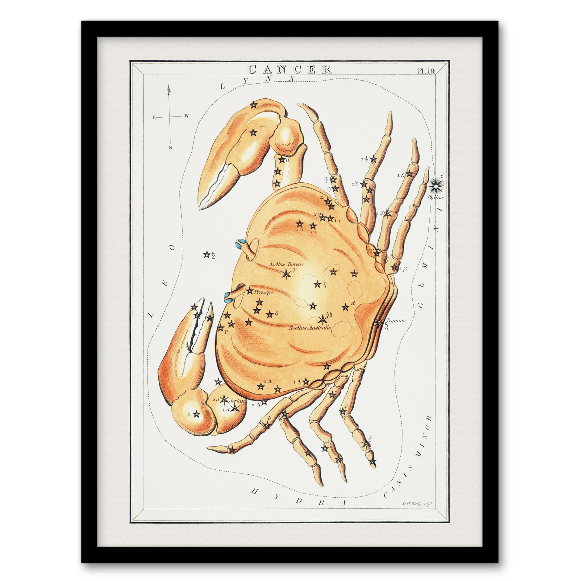 Artery8 Framed Print - Cancer Constellation Illustration - W12" x H16" - White