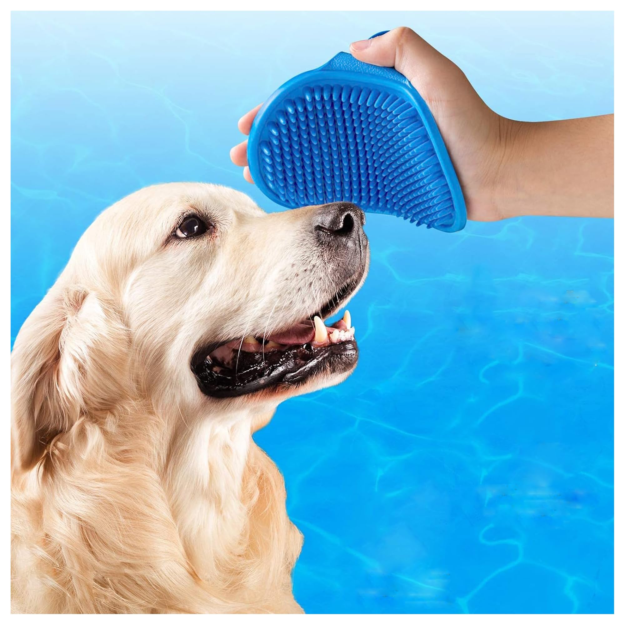 POLKA Pet Massage Rubber Dog Bathing Brush | Deshedding Brush for Dogs Cat Cow Rabbit & Hamster | Shih tzu Dog Accessories Body Scrubber Shampoo Washing Soothing and Cat Brush for Hair Grooming (B0CLRWB6MV) Amazon Price History, Amazon Price Tracker