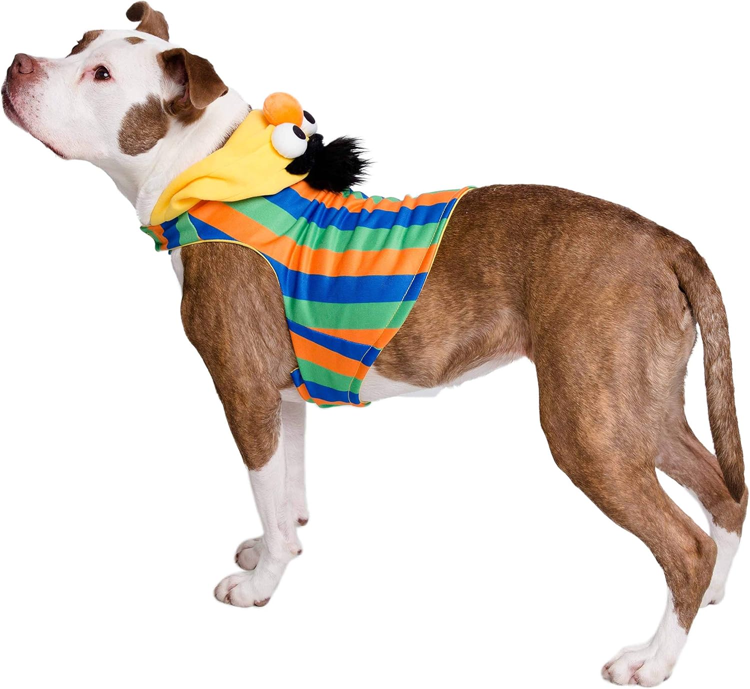 Pet Krewe Small Bert Costume - Sesame Street Bert Dog Costume - Fits Small, Medium, Large and Extra Large Pets - Perfect for Halloween, Christmas Holiday, Parties, Photoshoots, Gifts for Dog Lovers