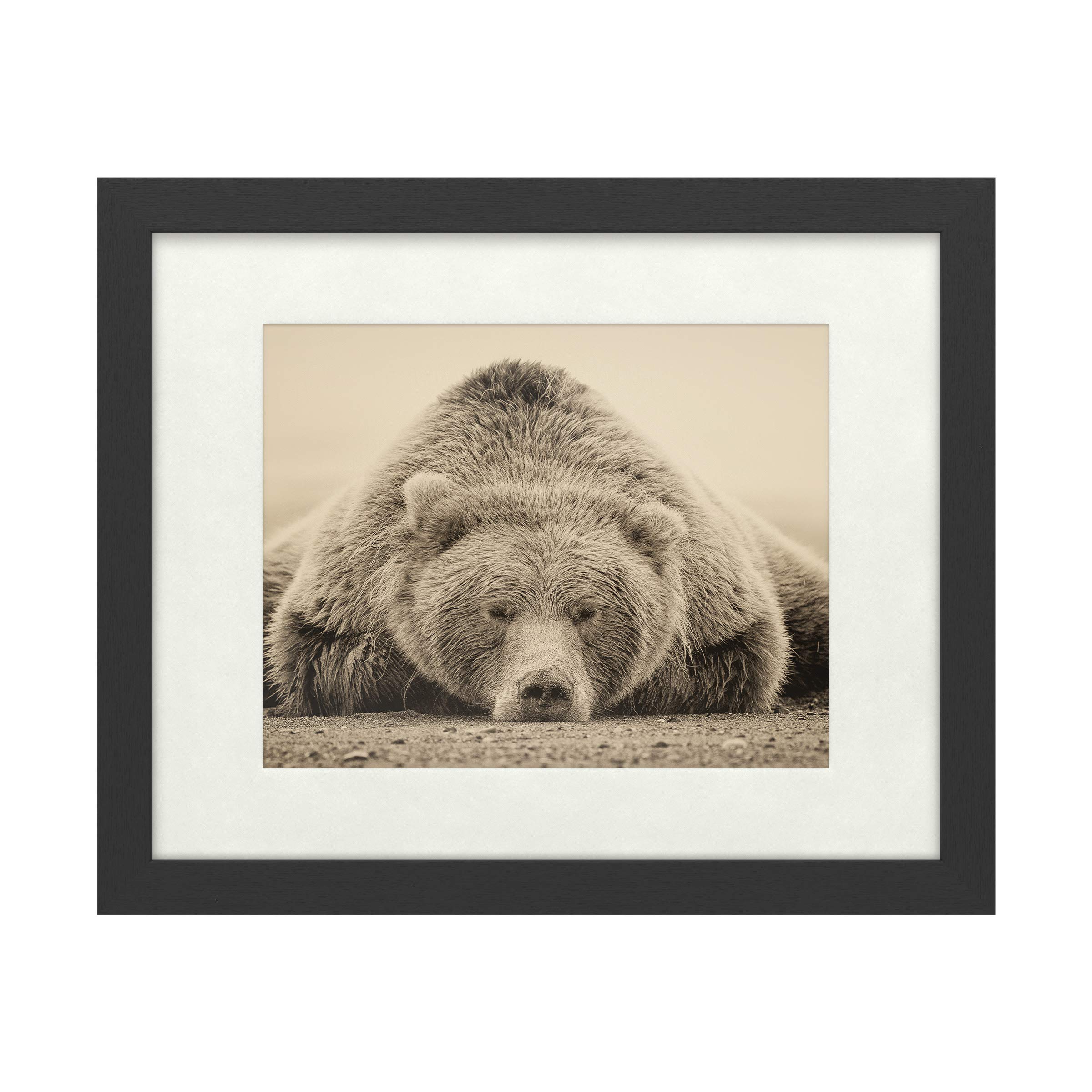 Trademark Fine Art Framed Wall Art - Phburchett Deep Sleep Wall Decor with Matted Frame