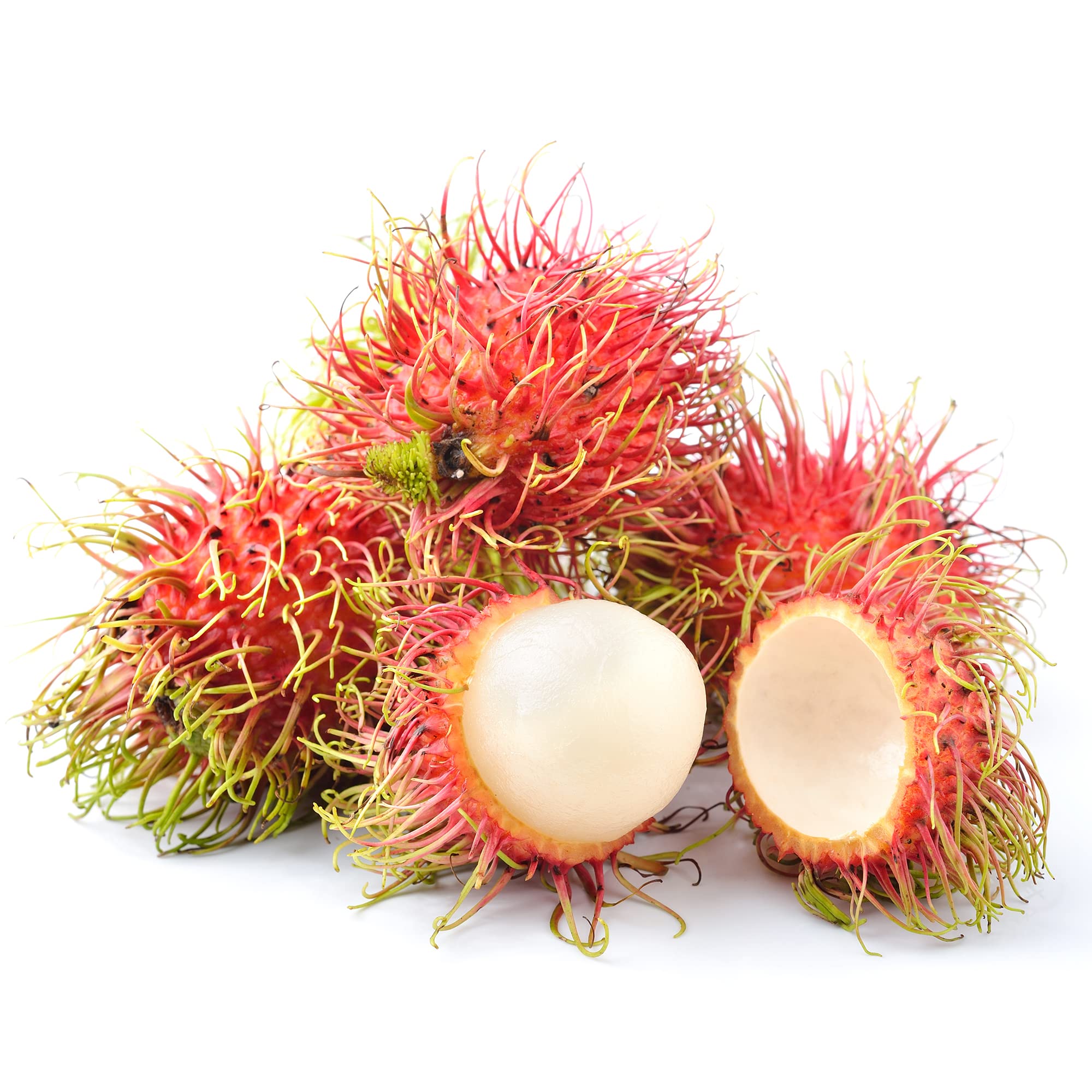 YEGAOL Garden 5Pcs Rambutan Seeds Tropical Fruit Seeds Evergreen Rich in Vitamins Perennial Sweet Non-GMO Backyard Plant