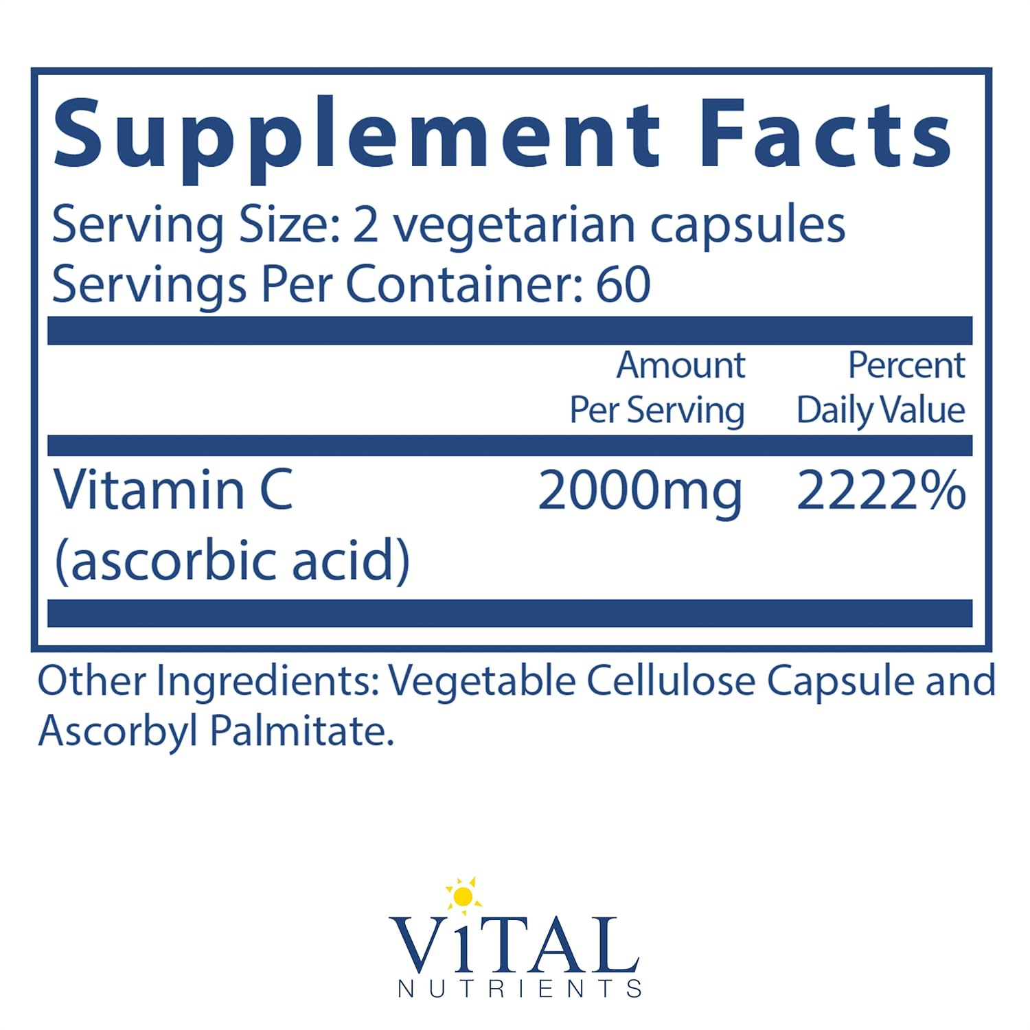 Buy Vital Nutrients Vitamin C 1000 Mg 100 Pure Ascorbic Acid Potent Antioxidant To Support Iron Absorption 1 Vegetarian Capsules Online In Vietnam B000lnotcg