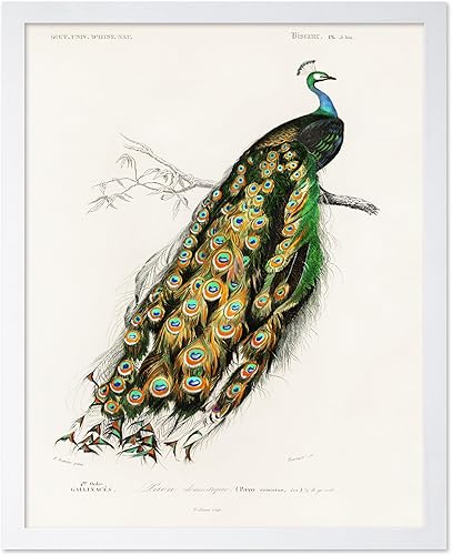 Miniatura 77 de Poster Master Póster vintage de colibríes, impresión de formas de arte retro en la naturaleza, arte de pájaros, regalo para él, ella y amante de los