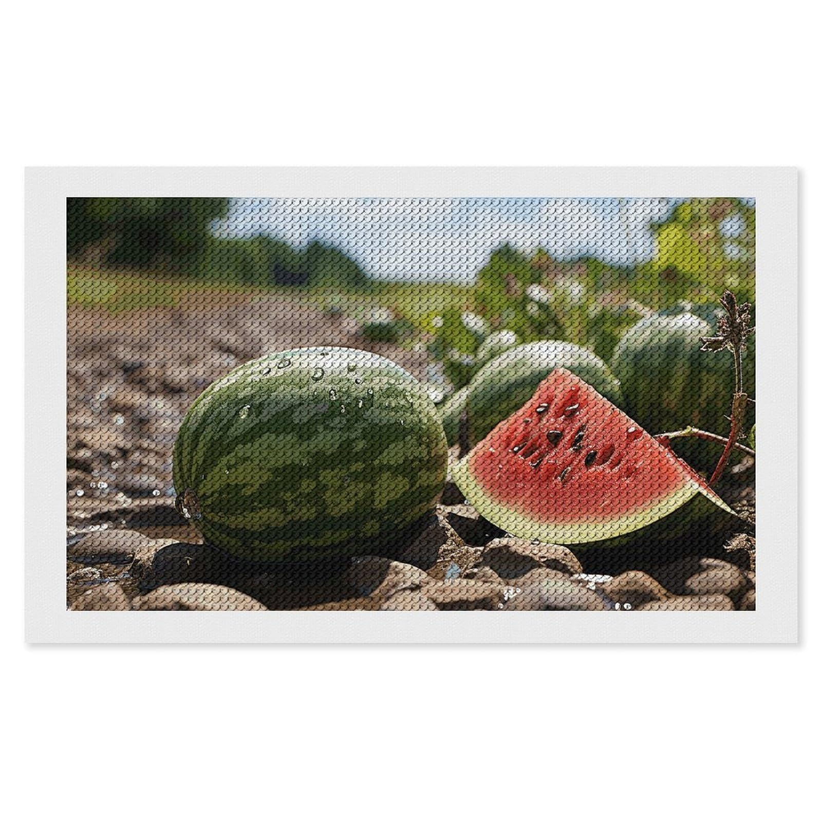 Diamond Painting Kits for Adults - DIY Diamond Art Kits for Beginners - Full 5D Paint Drill Diamond Dots Paintings- Watermelon on The Ground Diamonds Pictures Gem Art And Craft Wall Decor 12"x20"